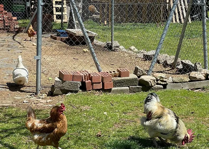 El Estanque Del Polear